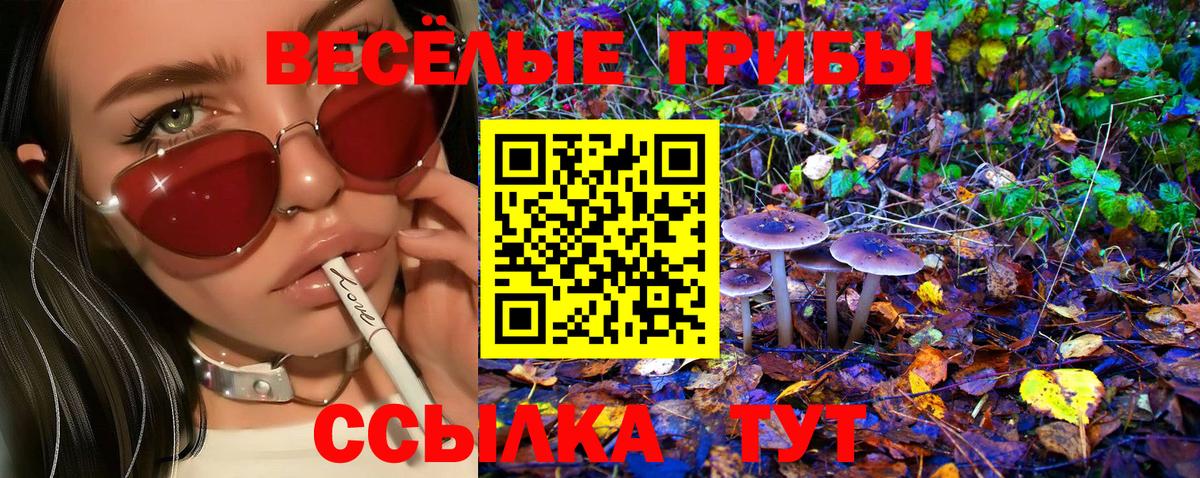 Кунгур  Галлюциногенные грибы MAGIC MUSHROOMS  Псилоцибиновые грибы мицелий  купить закладку  Вход с VPN 